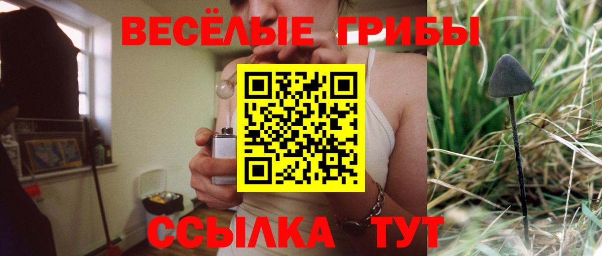 Псилоцибиновые грибы MAGIC MUSHROOMS  Вход с VPN  Когалым 